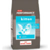 Royal Canin Club Performance Feline Kitten Para Gato De Temprana Edad De Raza Todos Sabor Mix En Bolsa De 7.5 kg - Imagen 2