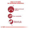 Royal Canin Feline Health Nutrition Fit Para Gato Adulto Sabor Mix x 1.5 kg - Imagen 5