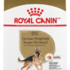 Alimento Royal Canin Breed Health Nutrition German Shepherd Para Perro Adulto De Raza Grande Sabor Mix En Bolsa De 12 kg