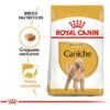 Royal Canin Breed Health Nutrition Caniche Adulto x 1 kg - Imagen 4