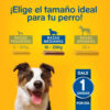Pedigree Dentastix Razas Medianas X 77,1 Grs Caja X 10 Unid - Imagen 6