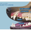 Aquadent Control Del Mal Aliento Perro Gato X 250 Ml - Imagen 7