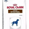 Royal Canin Veterinary Diet Canine Gastrointestinal Alimento Para Perro Adulto Todos Los Tamaños x10kg - Imagen 3