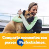 Pedigree Rodeo Sabor Pollo Golosina Perros X 70 Gs - Imagen 7