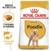 Royal Canin Breed Health Nutrition Caniche Para Perro Adulto Sabor Mix En Bolsa De 3 kg - Imagen 4