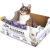 Bandeja Sanitaria Alta Gama Descartable Para Gato 1 Mes X 1.8 Kg