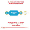 Royal Canin Raza Boxer Junior Perro Cachorro x 12 kg - Imagen 3