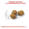 Royal Canin Feline Indoor 7+ x 7.5 kg - Imagen 4