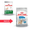 Alimento Royal Canin Size Health Nutrition Mini Weight Care Para Perro Adulto De Raza Pequeña Sabor Mix En Bolsa De 1 kg - Imagen 3