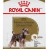 Royal Canin Breed Health Nutrition Miniature Schnauzer Perro Adulto De Raza Mini x 3 kg - Imagen 3
