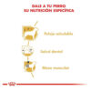 Royal Canin Breed Health Nutrition Caniche Adulto x 1 kg - Imagen 5