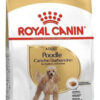 Royal Canin Breed Health Nutrition Caniche Adulto x 1 kg