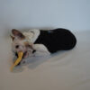 Ropa Perro Buzo Mpc Zuqui Talle 43 Calidad Premium - Imagen 5