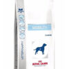 Royal Canin V-diet Dog Mobility Support X 2 Kg - Imagen 2