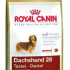 Alimento Royal Canin Breed Health Nutrition Dachshund Para Perro Adulto De Raza Mini Y Pequeña Sabor Mix En Bolsa De 3 kg - Imagen 7