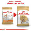 Royal Canin Breed Health Nutrition Caniche Para Perro Adulto Sabor Mix En Bolsa De 3 kg - Imagen 5