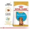 Royal Canin Dachshund Puppy X 3 Kg - Imagen 2