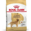 Alimento Royal Canin Breed Health Nutrition Golden Retriever Para Perro Adulto De Raza Grande Sabor Mix En Bolsa De 12 kg