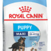 Royal Canin Size Health Nutrition Maxi Puppy Perro Cachorro De Raza Grande x15 kg
