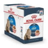 Royal Canin Gato Weight Care Pouch X 85 Grs X 12 Unidades - Imagen 2