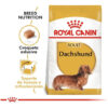 Alimento Royal Canin Breed Health Nutrition Dachshund Para Perro Adulto De Raza Mini Y Pequeña Sabor Mix En Bolsa De 3 kg - Imagen 4