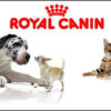Alimento Royal Canin Veterinary Diet Canine Hypoallergenic (dr 21) Para Perro Todos Los Tamaños Sabor Mix En Bolsa De 2 kg - Imagen 4