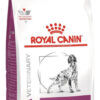 Royal Canin Veterinary Diet Canine Renal Para Perro Adulto Todos Los Tamaños Sabor Mix En Bolsa De 1.5 kg - Imagen 2