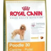 Royal Canin Breed Health Nutrition Caniche Para Perro Adulto x 7.5 kg - Imagen 2