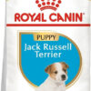 Royal Canin Jack Russell Puppy X 3 Kg. Sabuesosvet