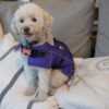 Ropa Perro Manta Mpc Baxer Impermeable C/corderito Talle 30 - Imagen 9