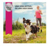 Alimento Eukanuba Cordero Perro Adult Raza Mediana Bolsa 15 Kg. - Imagen 5