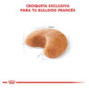 Royal Canin Breed Health Nutrition Bulldog Francés Perro Adulto x 7.5kg - Imagen 3