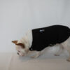 Ropa Perro Buzo Mpc Zuqui Talle 43 Calidad Premium - Imagen 3