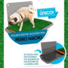 Accesorio Para Perro Macho Peepoo - Imagen 2