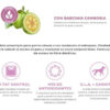 Mv Dieta Prescripta Obesidad Para Perro Adulto x 2 kg - Imagen 2