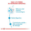Royal Canin Size Health Nutrition Medium Puppy Perro Cachorro Razas Medianas x 15 kg - Imagen 9