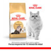 Royal Canin Feline Breed Nutrition Gato Persian x 1.5 kg - Imagen 6