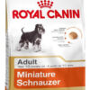 Royal Canin Breed Health Nutrition Miniature Schnauzer Perro Adulto De Raza Mini x 3 kg - Imagen 2