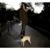 Correa Extensible Perros Grandes Flexi Neon L Cinta 5m 50kg - Imagen 4