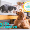Eukanuba Perro Cachorro De Raza Pequeña x 3 kg - Imagen 5