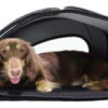 Coche Para Mascotas Paseo Eva 5-in-1 Stroller Bolso Asiento - Imagen 14