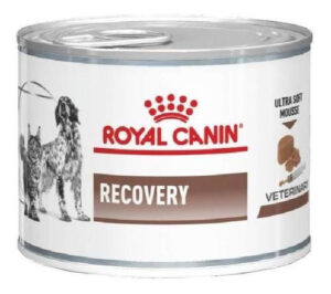 Royal Canin Veterinary Diet Recovery Lata X 195 kg X 12 Uni