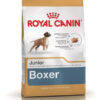Royal Canin Raza Boxer Junior Perro Cachorro x 12 kg