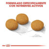 Royal Canin Size Health Nutrition Perro Adulto Medium Dermacomfort  x 3 kg - Imagen 5