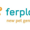 Comedero Y Bebedero Ferplast Glam Perros/gato Xsmall 0,2 L - Imagen 31