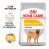 Royal Canin Size Health Nutrition Perro Mediano Dermacomfort x 10 kg - Imagen 3