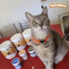 Natuplus Snack De Pollo Para Gatos Y Perros Natural 200ml - Imagen 6