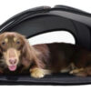 Coche Para Mascotas Paseo Eva 5-in-1 Stroller Bolso Asiento - Imagen 9