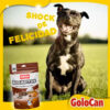 Bocaditos Para Perro Chocolate C/leche X 500 Grs - Imagen 4