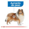 Royal Canin Size Health Nutrition Maxi Weight Care Para Perro Adulto De Raza Grande Sabor Mix En Bolsa De 10 kg - Imagen 7